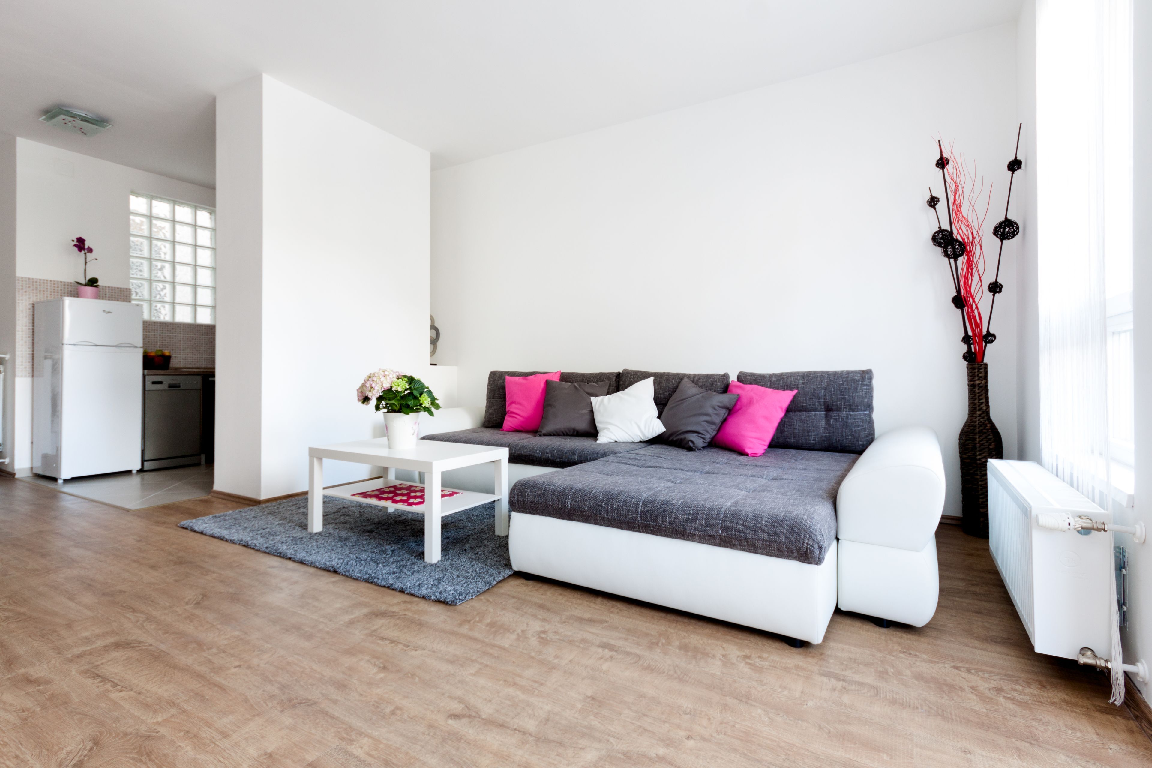A modern living room with a grey sofa, white coffee table, and a small plant.