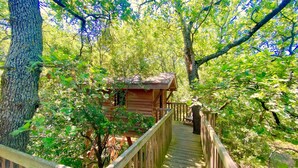 Une terrasse en bois menant à un chalet entouré d’arbres.
