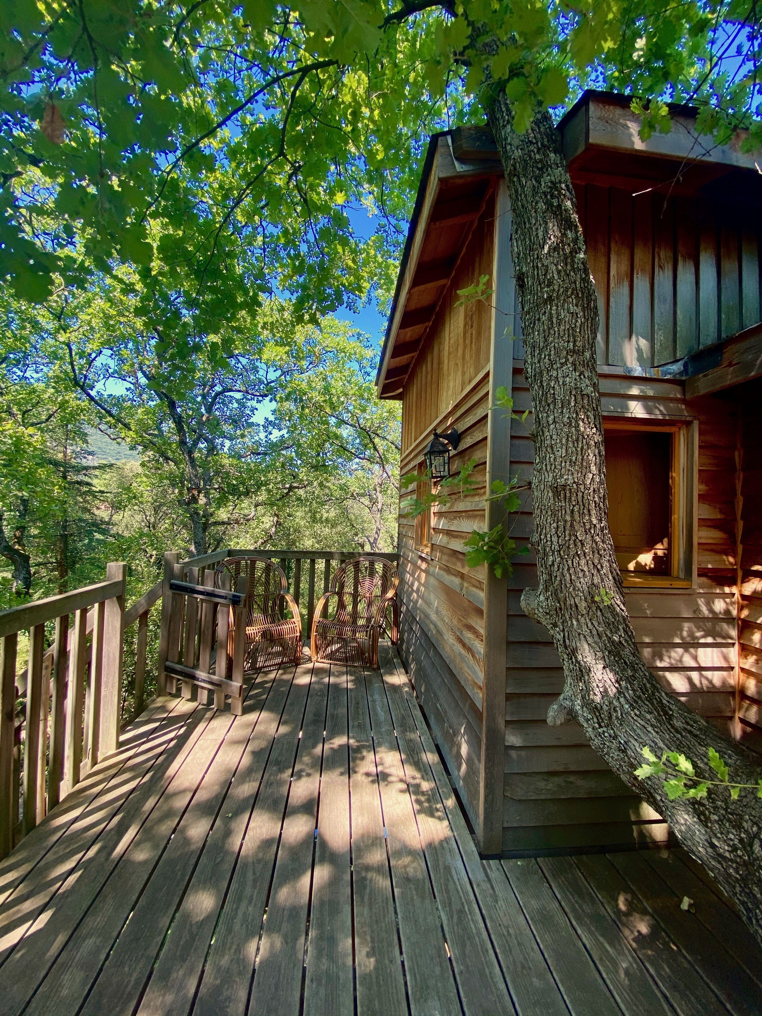 Soundproofing, cribs/infant beds, rollaway beds, free WiFi