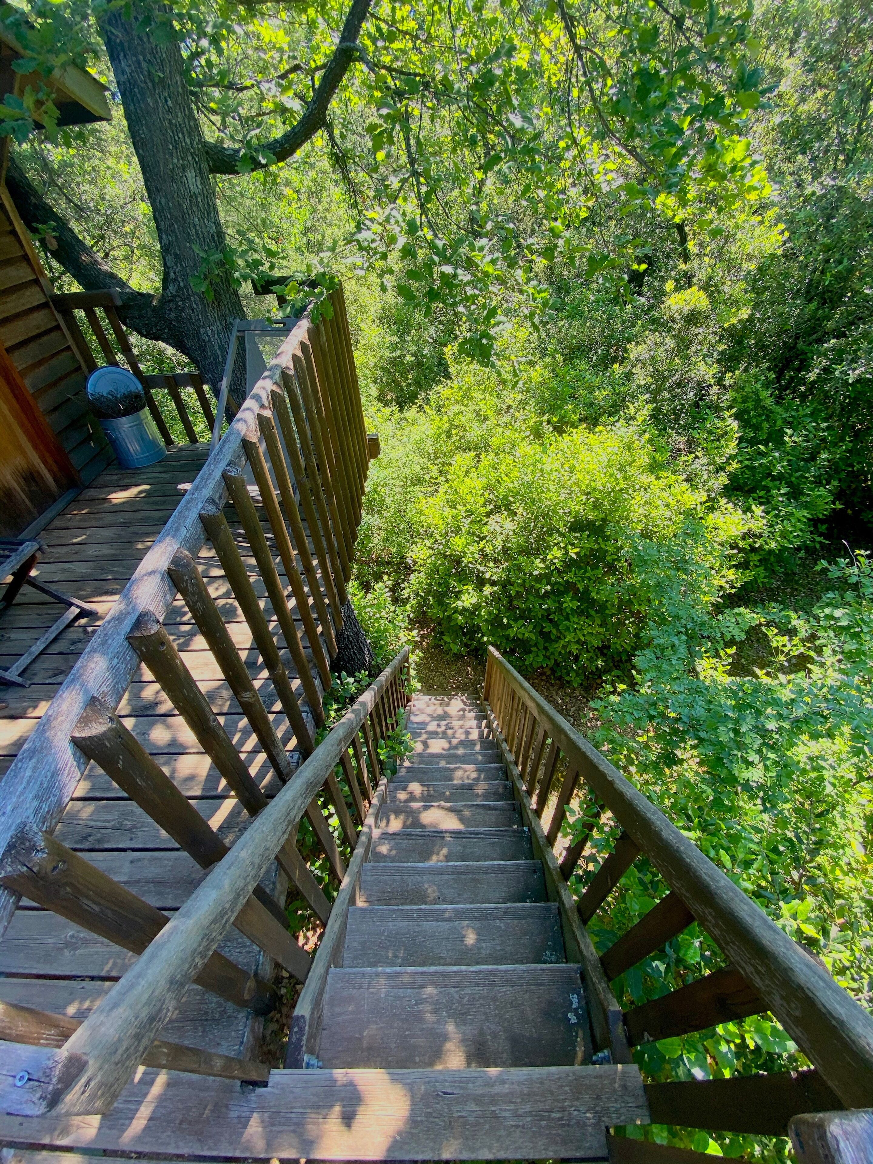 soundproofing, cots/infant beds, rollaway beds, free wifi