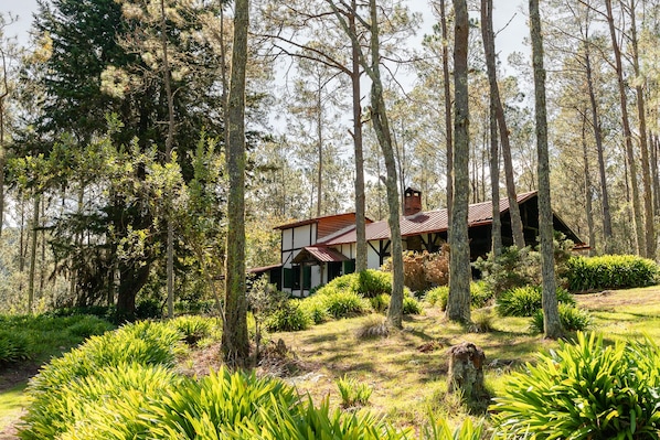 Family Cabin, 3 Bedrooms, Terrace, Mountainside | View from room