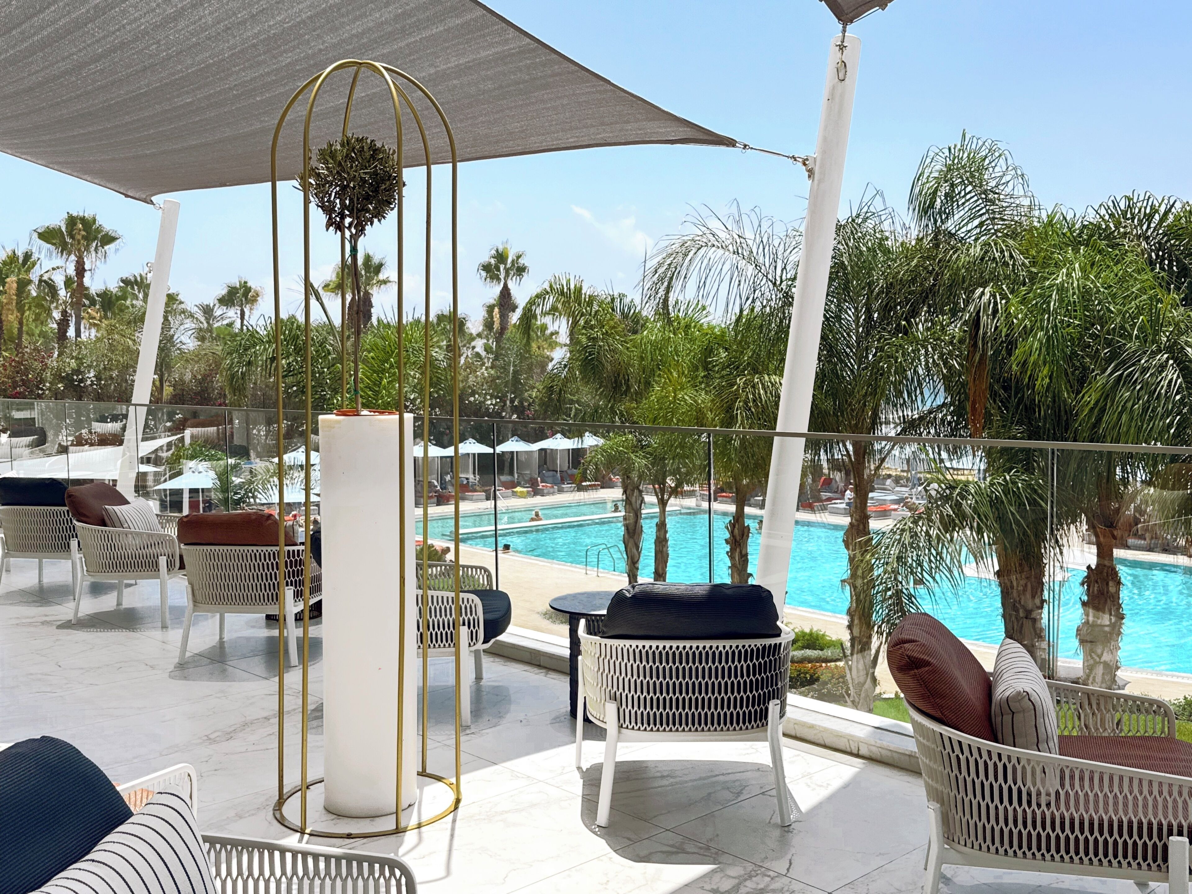 Zona junto a la piscina con sillas de descanso, piscina y palmeras.