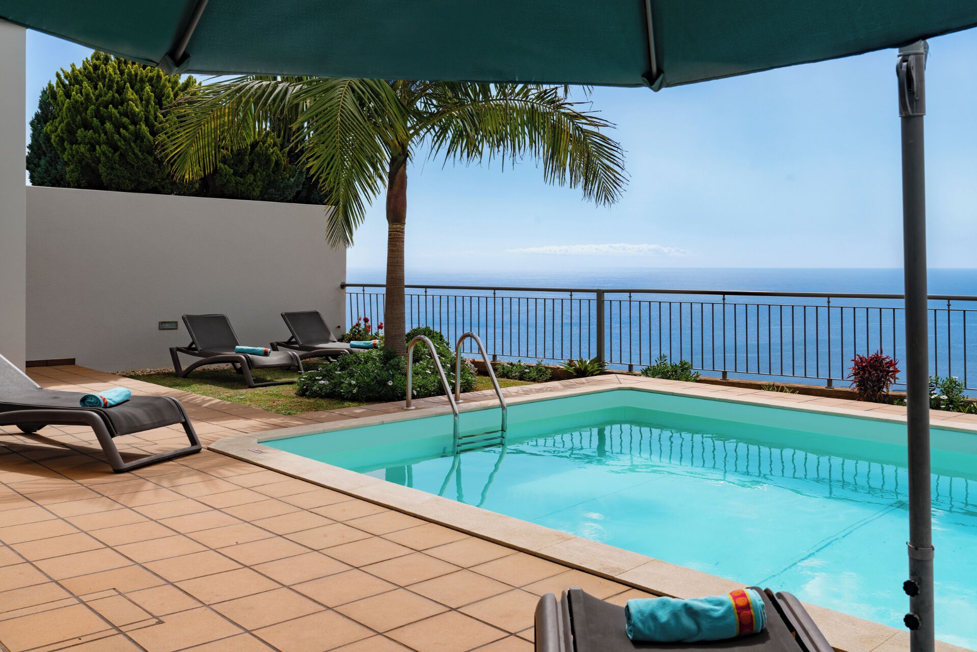 A pool area with a view of the ocean, lounge chairs, and a palm tree.