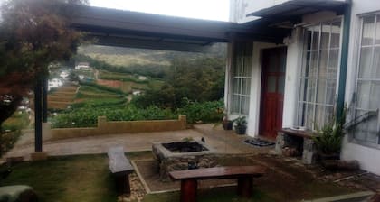 Mount Crest Cottage