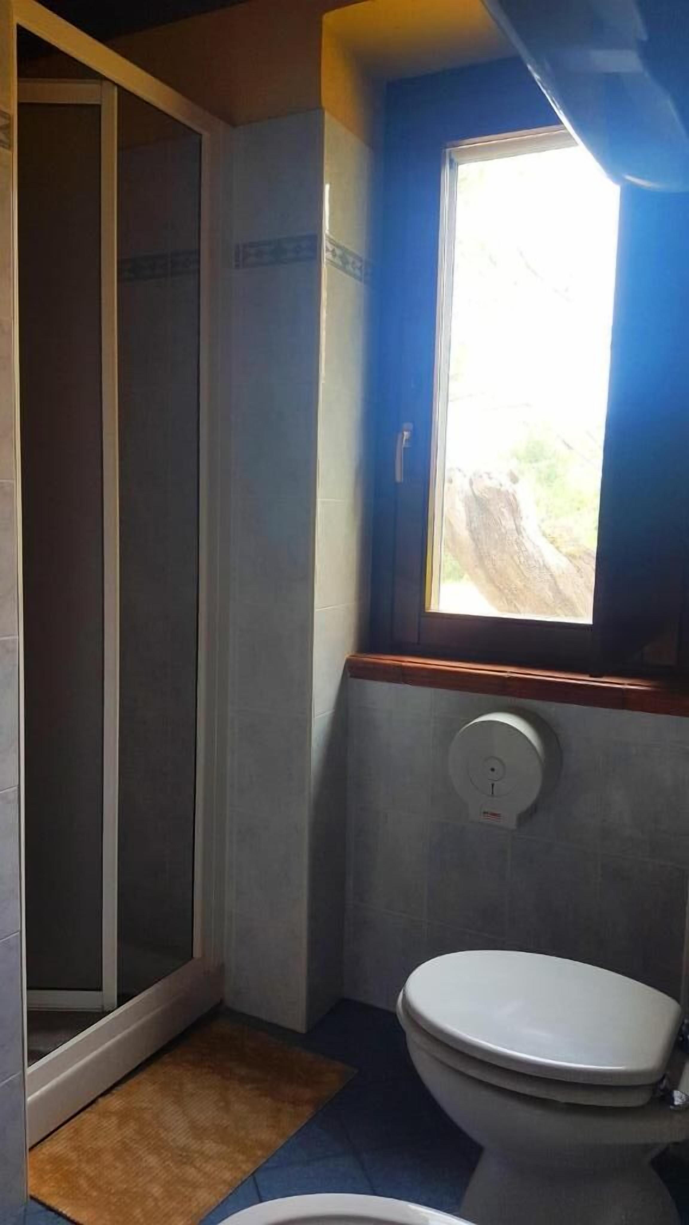 A bathroom with a toilet, a shower, and a window.
