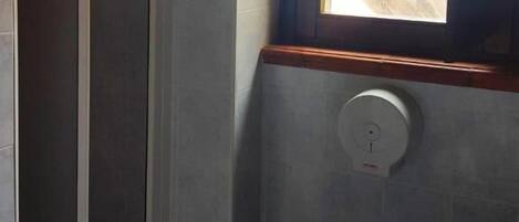 A bathroom with a toilet, a shower, and a window.