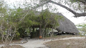 A thatched-roof hut with a dirt path leading to it, surrounded by trees and shrubs.