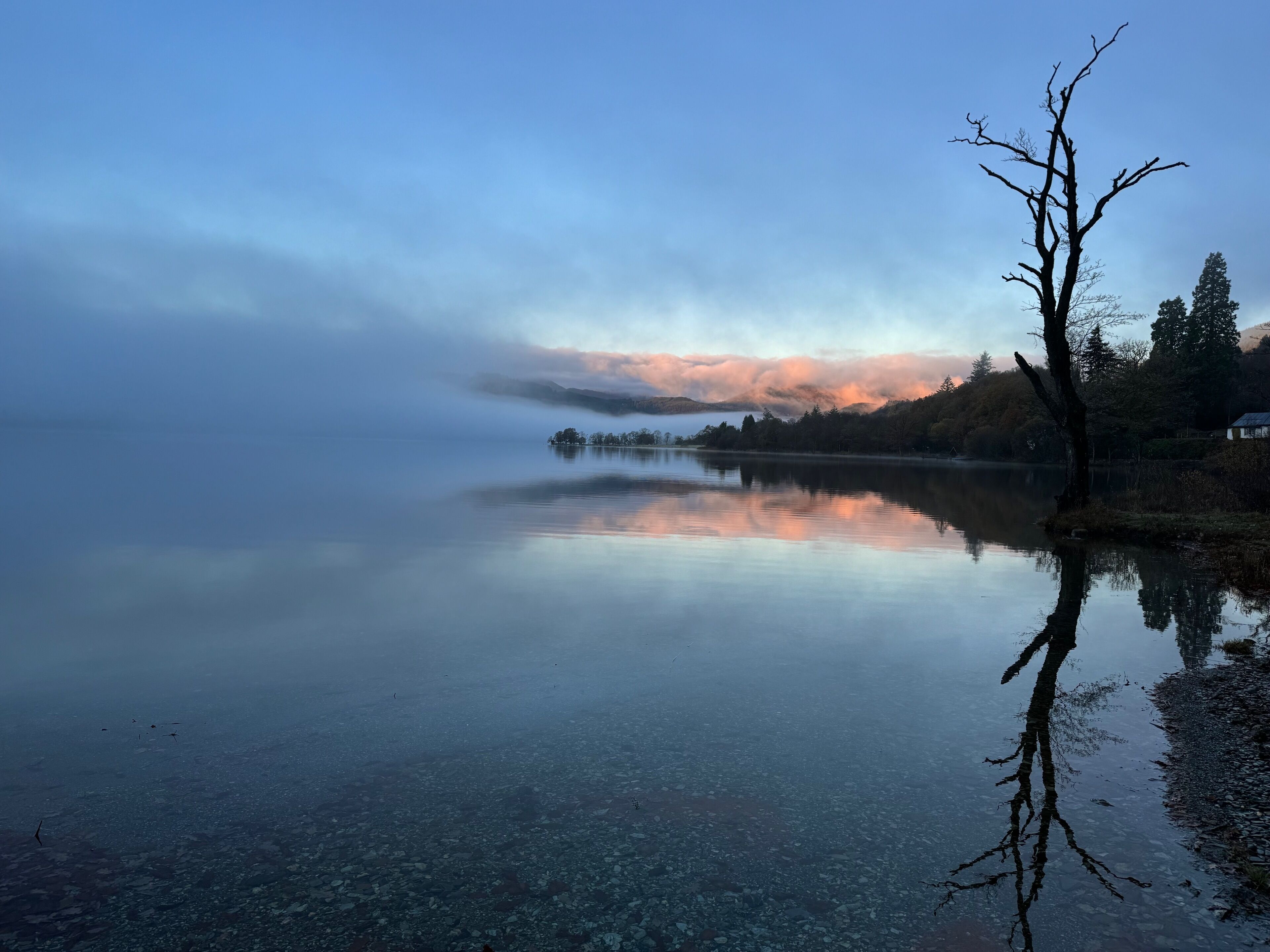 A calm lake with a clear reflection of a leafless tree and a mountain in the background.