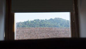 Vista a través de una ventana de un tejado de baldosas y una colina con árboles.