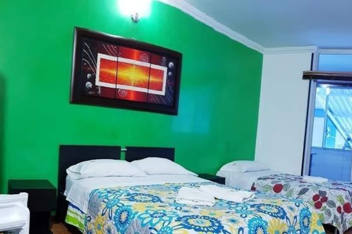 Minibar, wifi gratis, ropa de cama