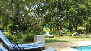 Un área junto a la piscina con dos sillas reclinables y una mesita, rodeada de abundante follaje y una piscina cristalina.