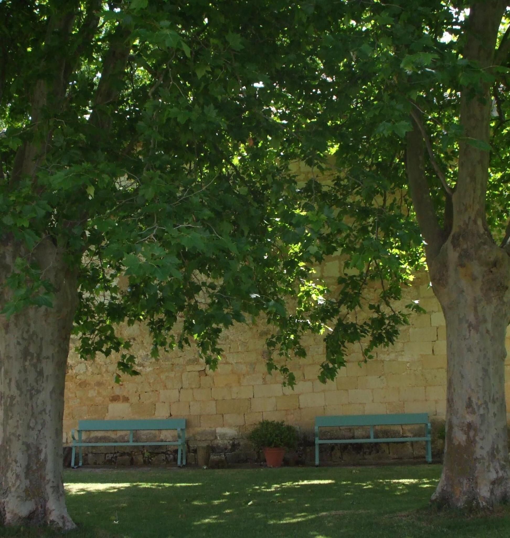 Un parc amb dues batedes, una paret de pedra i arbres.