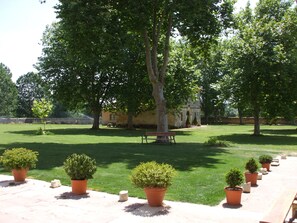 TV - Finca Santa Eufemia (Olmos de Ojeda)