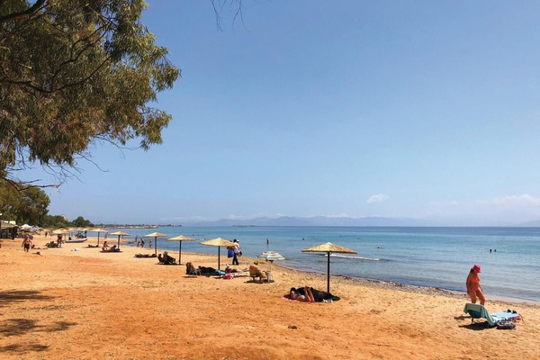 Plage à proximité
