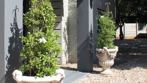 Um jardim com um vaso de planta e um jarro decorativo.