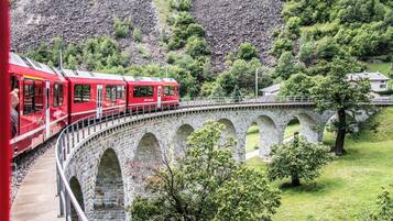 A red train on a stone bridge with greenery and houses in the background.