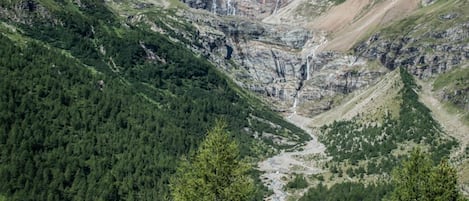 منوع