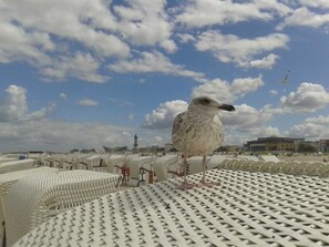 Imagen sin descripción, 3 de 13, botón