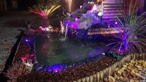 A nighttime garden with a water feature, illuminated by colorful lights, surrounded by various plants and a wooden fence. - Au fer à cheval (Gandelain)