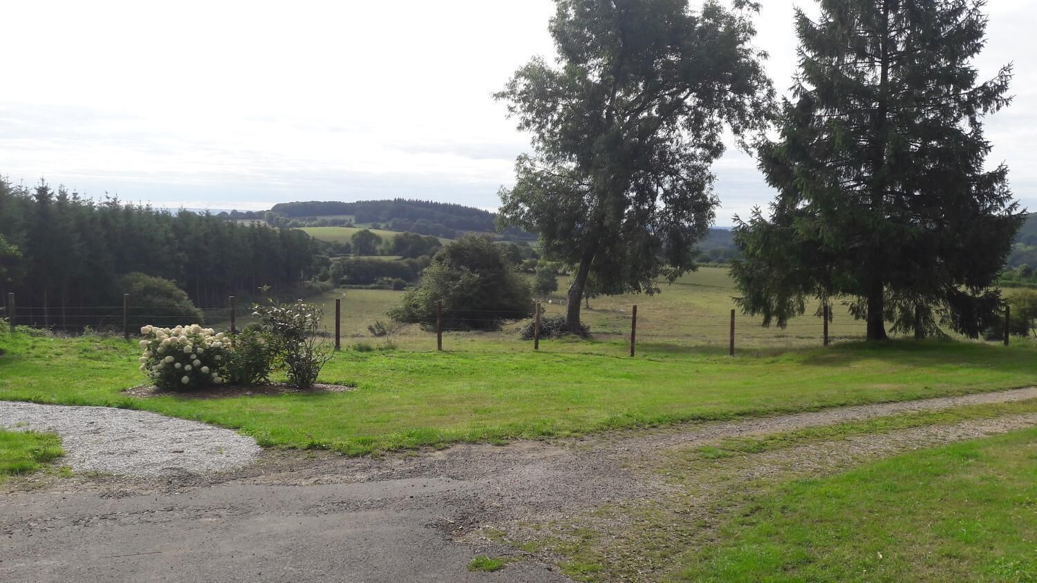 Paisaje rural con un camino de grava, campos verdes y árboles.