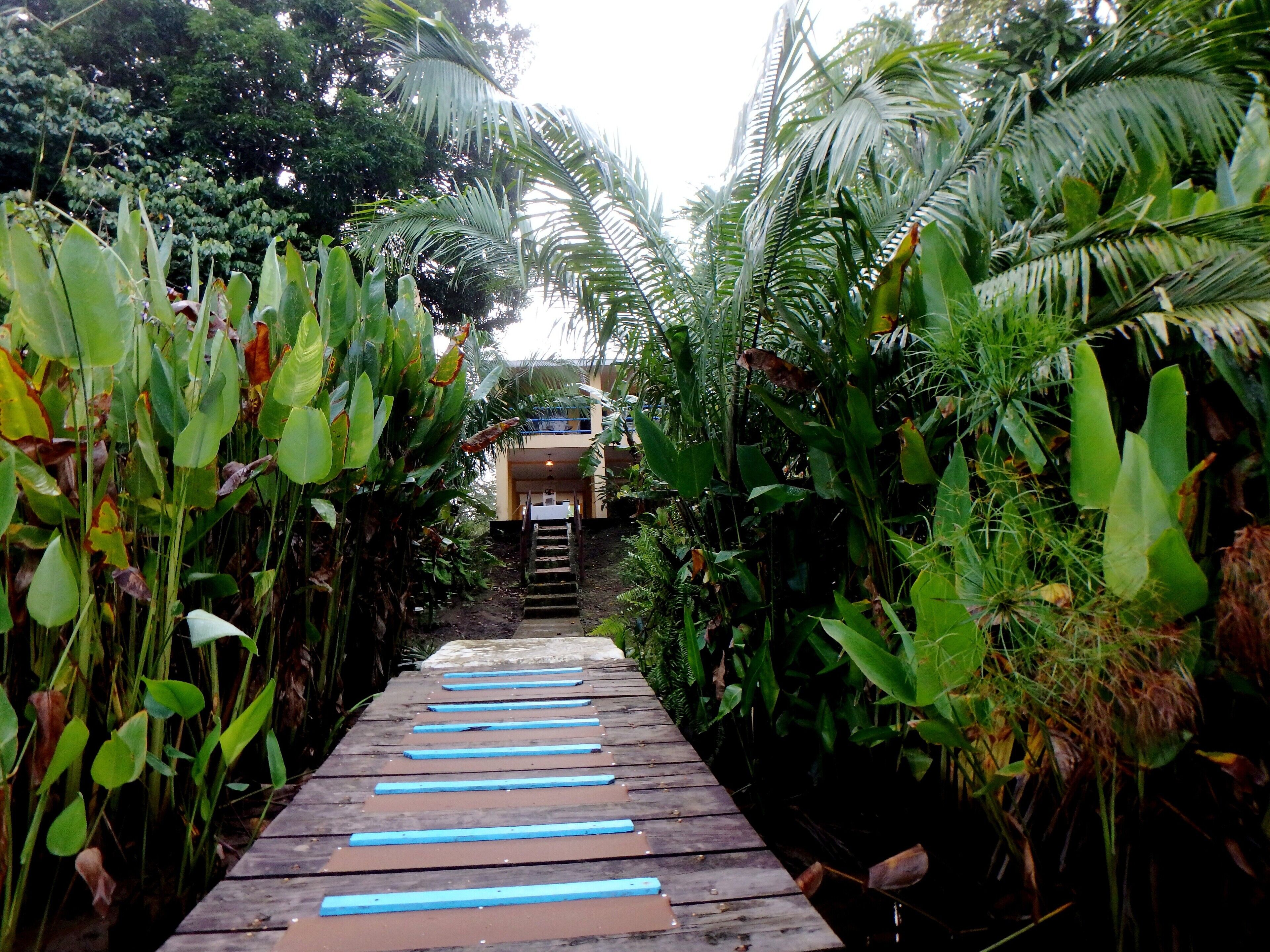 Walking from private dock to villa