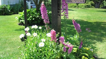 Jardín