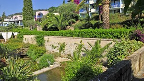Un jardin luxuriant avec un étang, des palmiers et un mur de pierre.