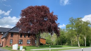 A brick building with a large tree in front.