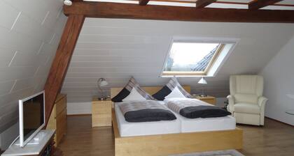 Apartment Panorama 1 near airport