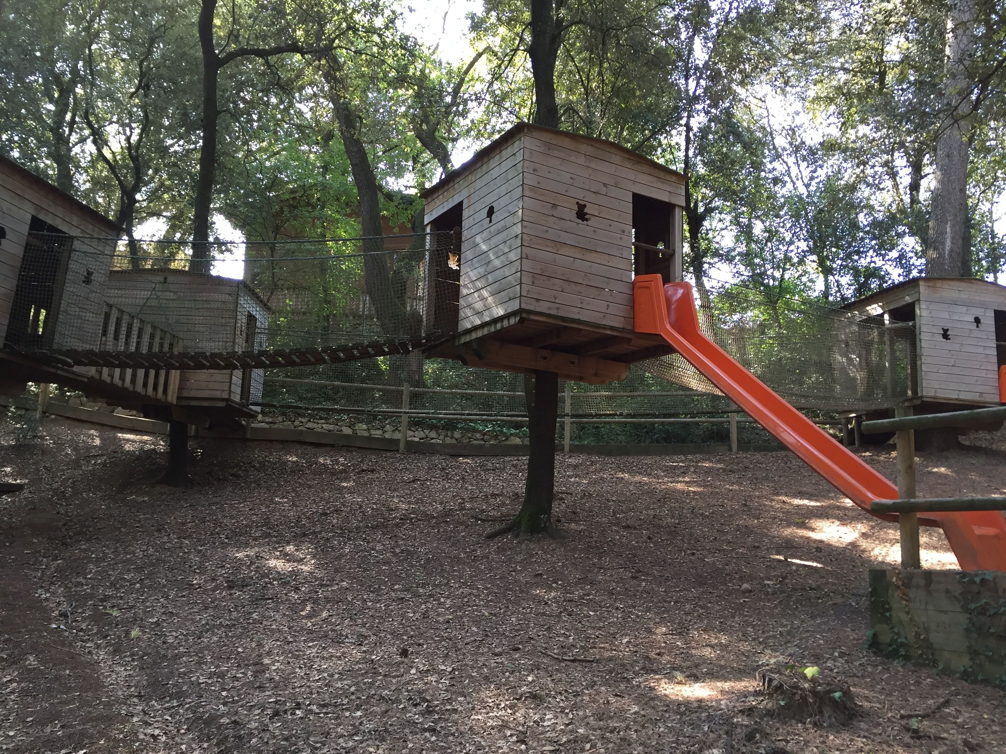 Foto - Habitacions Mas Fuselles