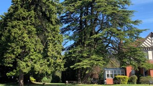 Un parque con un árbol grande, una zona verde y un edificio de estilo Tudor.