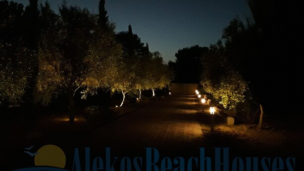 A nighttime view of a pathway lined with trees and illuminated by street lamps. - Alekos Beach Houses - Natura Gialla (Kefalonia)
