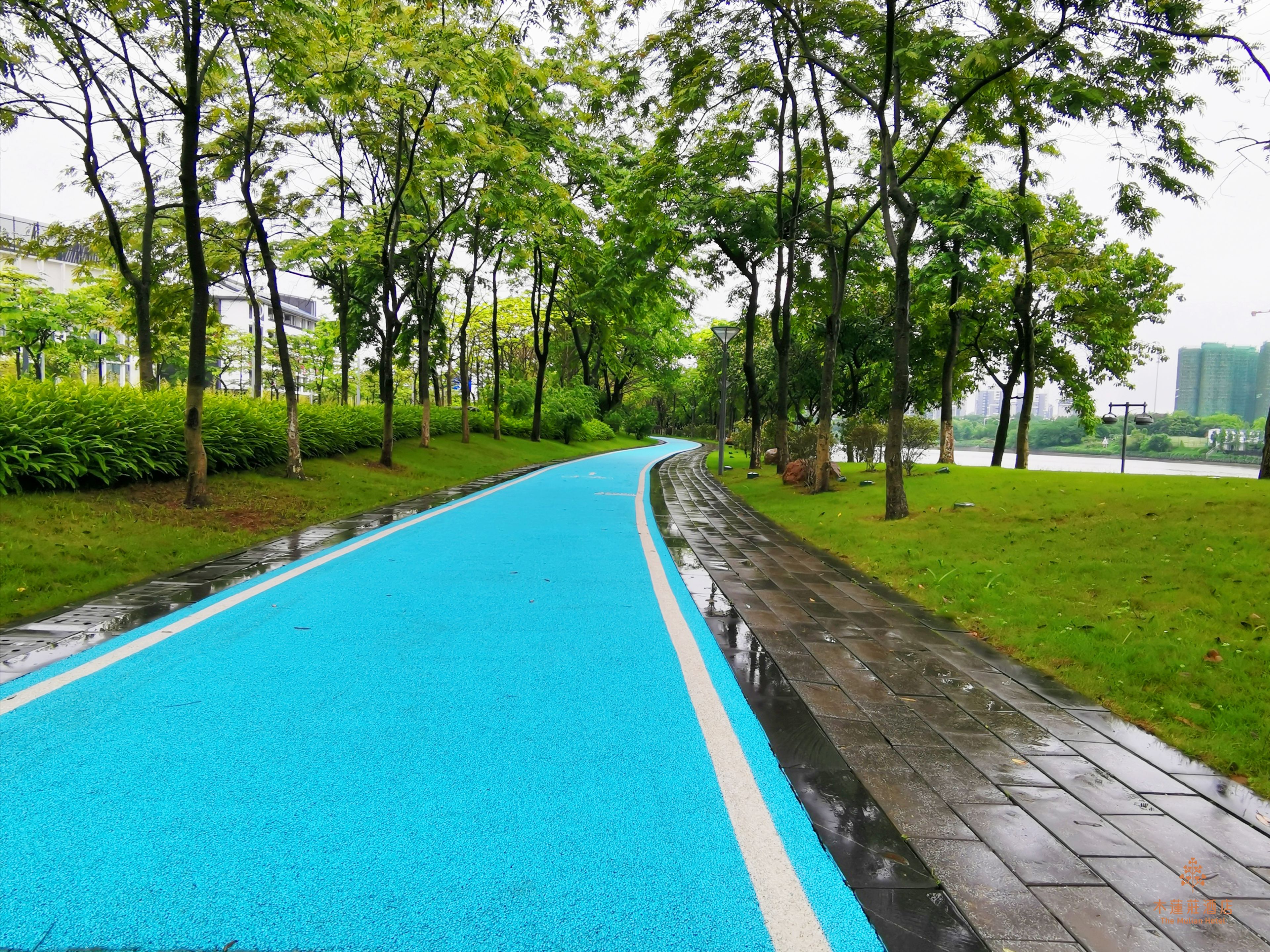 Un sentier à revêtement bleu, bordé d’arbres et d’herbe, qui mène à une étendue d’eau.