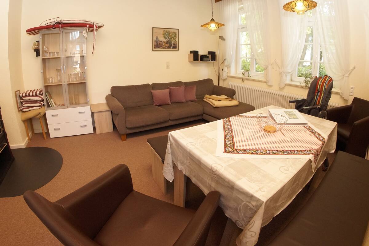 A cozy living room with a brown sofa, a dining table with a checkered tablecloth, a fireplace, and a window with sheer curtains.