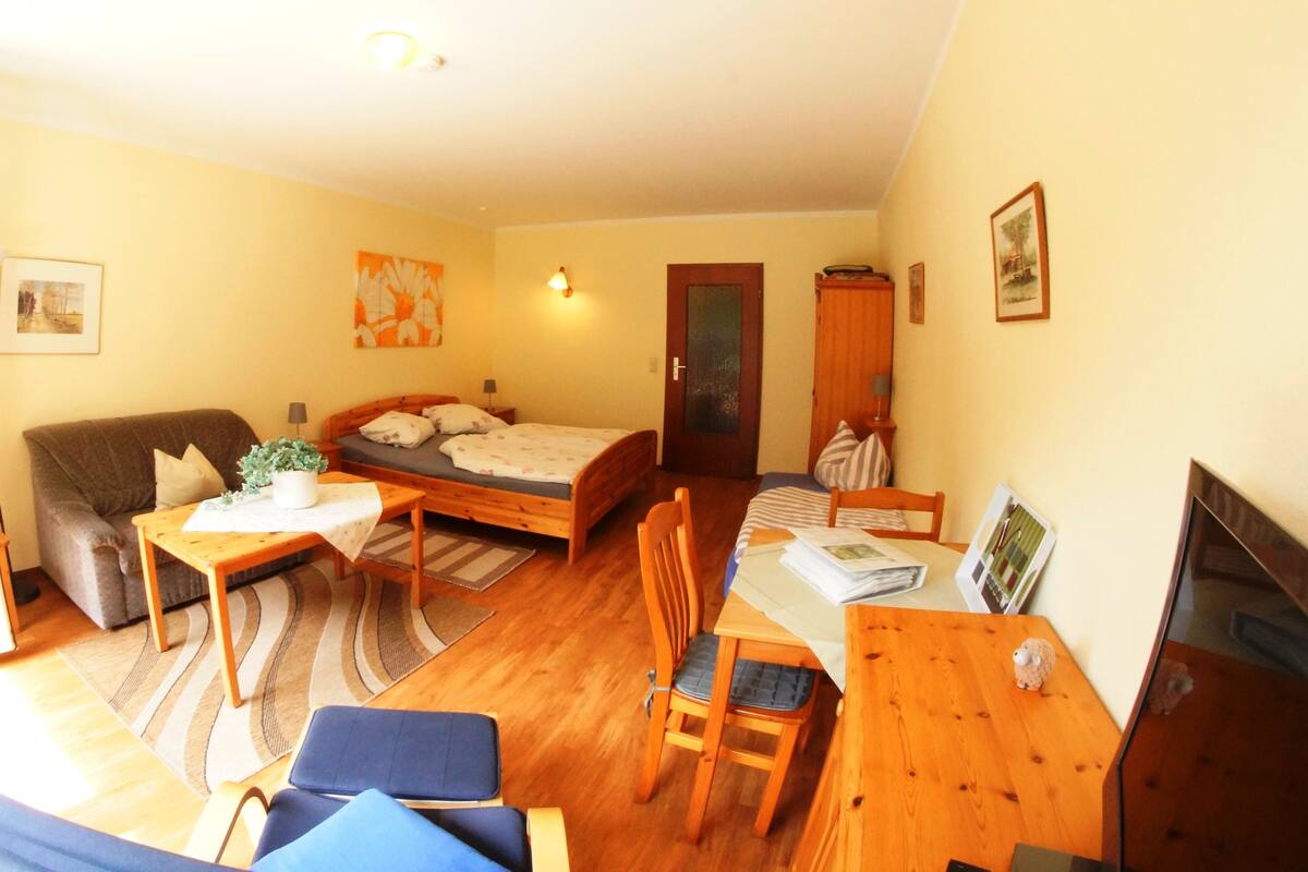 A compact room with a bed, a sofa, a dining table, and a TV.
