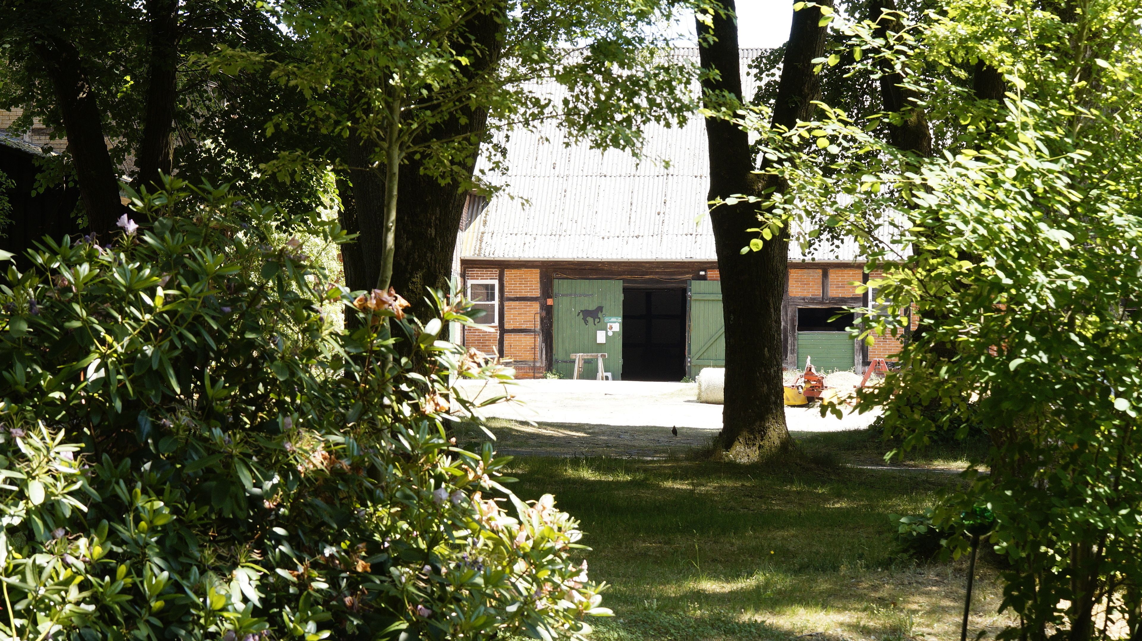 Une grange rustique avec une porte verte, entourée d’une végétation luxuriante et d’arbres.
