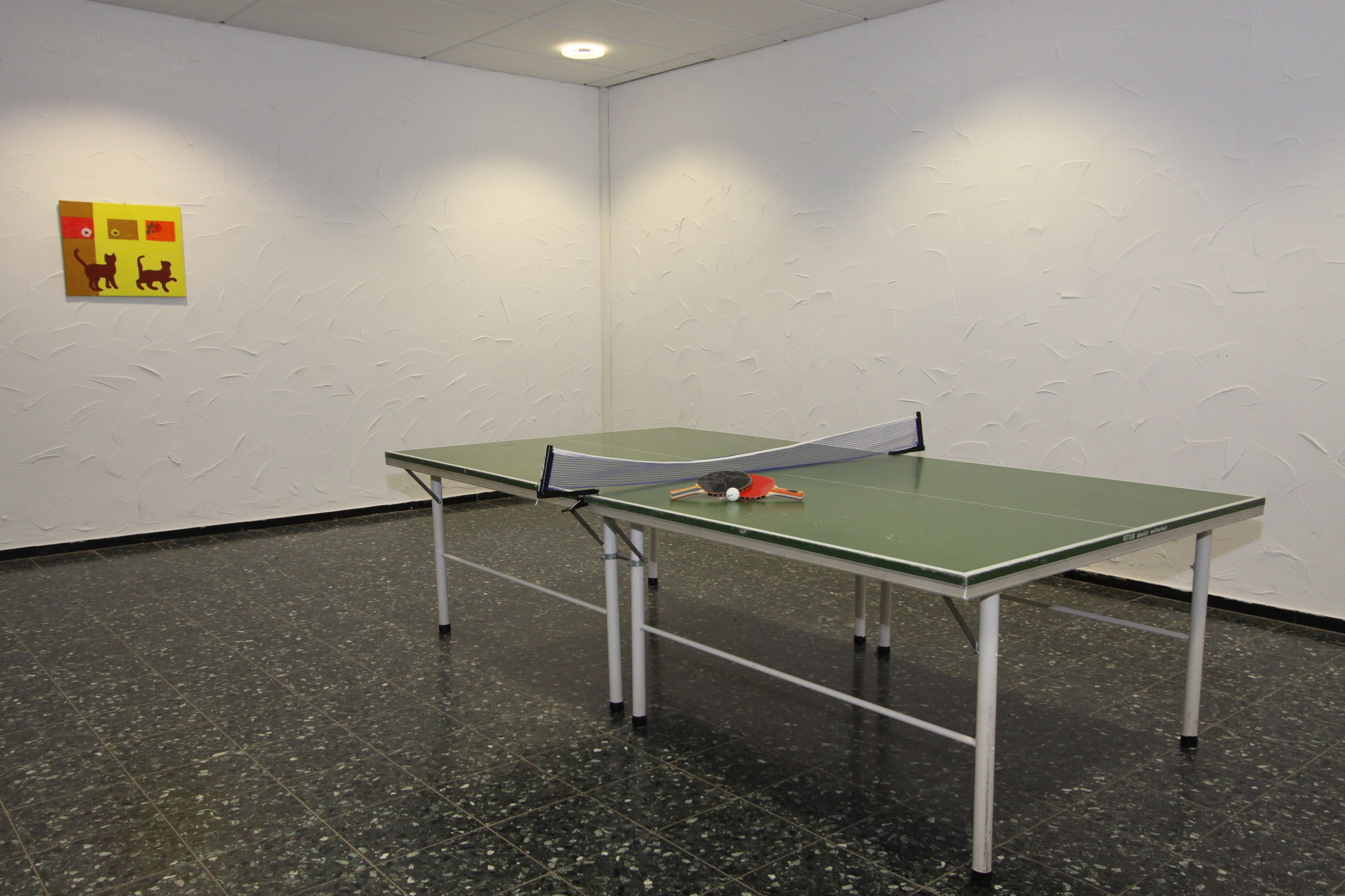 A ping pong table in a room with a textured wall and a small poster.