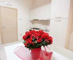 华丽公寓, 1 间卧室 | 私人厨房 | 冰箱、烤箱、炉灶、洗碗机