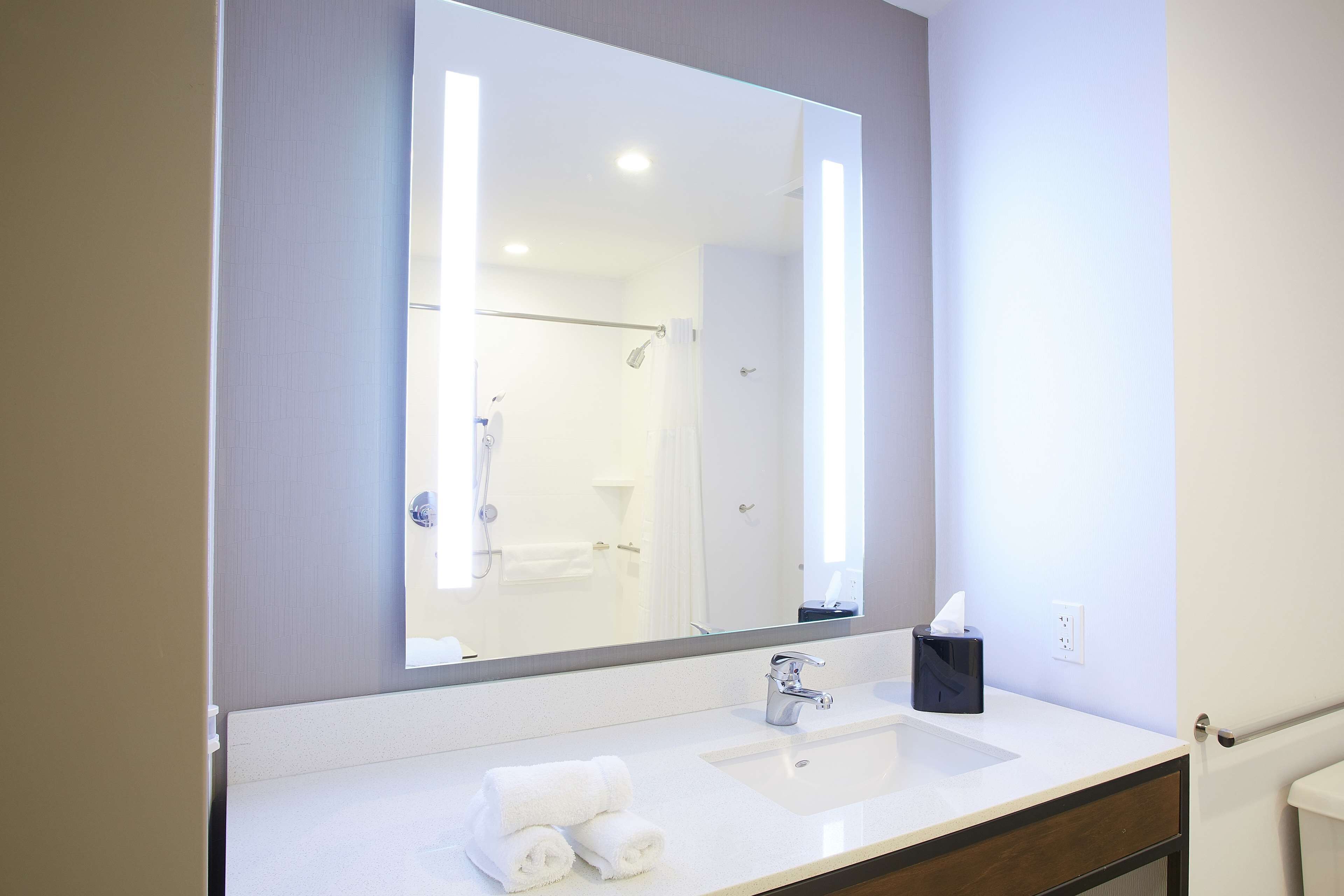 room, 1 king bed, accessible (mobility & hearing, roll-in shower) | bathroom shower