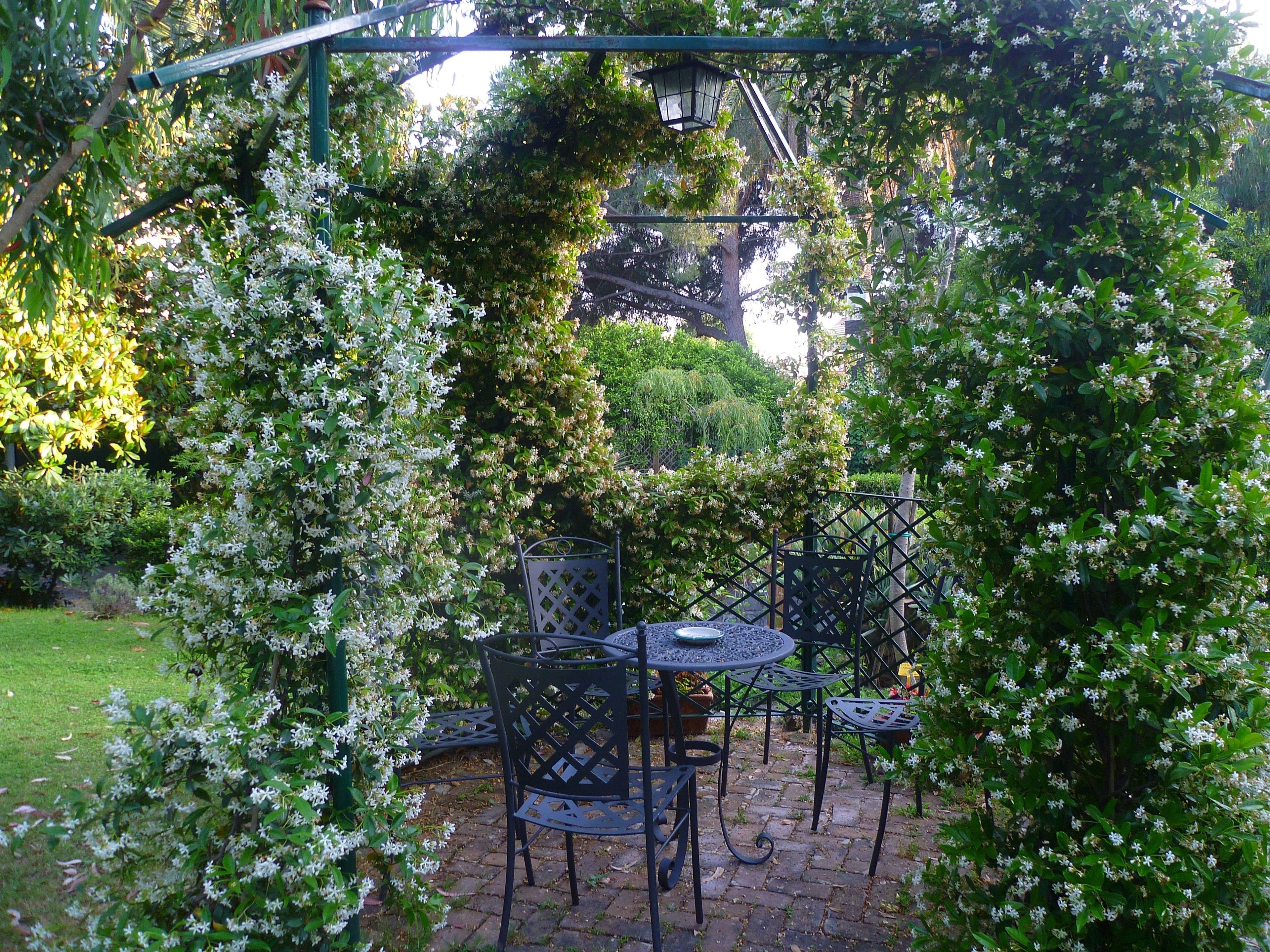 A garden patio with a metal table and chairs, surrounded by flowering shrubs and a metal trellis.