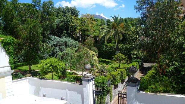 Un jardín exuberante con diversas especies de árboles y plantas, un edificio blanco con balcón y una verja que da a un sendero.