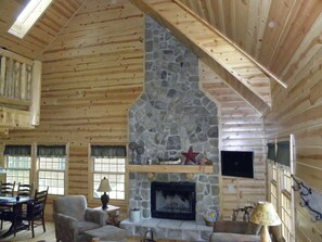 Smart TV, chimenea, reproductor de DVD y libros