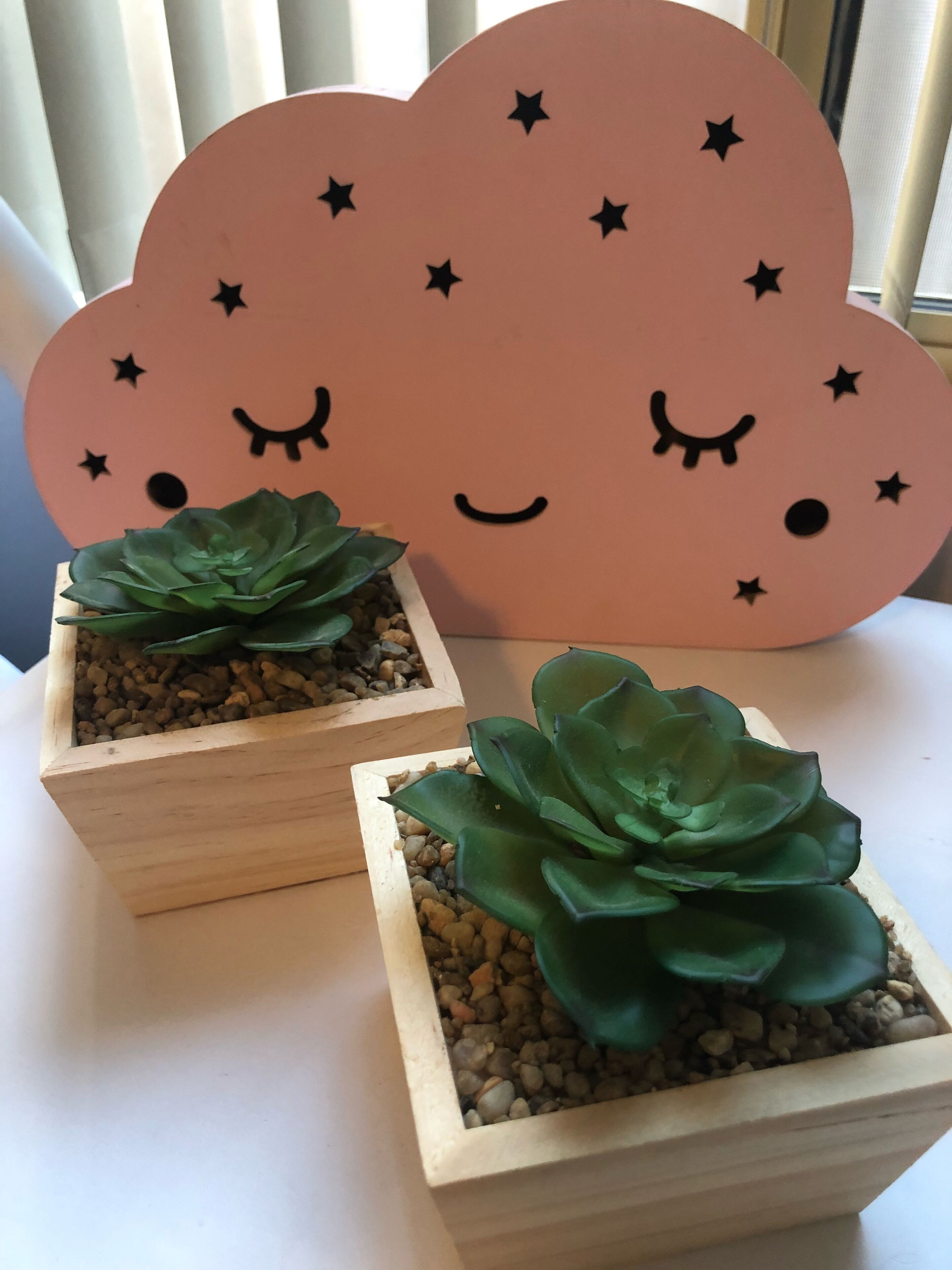 Dampier House Mullaloo -Perth- walk to beach  — image 4