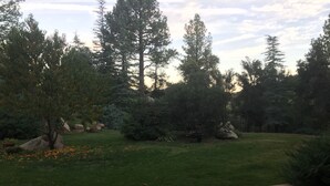 Un jardin aménagé avec un foyer, de gros rochers et différentes espèces d’arbres.