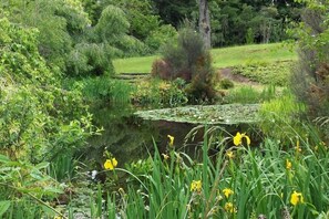 Escape to a serene oasis surrounded by lush greenery and a tranquil pond.