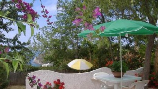 Un patio al aire libre con una mesa, sillas, un paraguas verde y plantas en macetas.