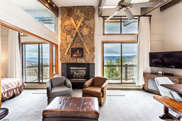 Televisión, chimenea y reproductor de DVD 