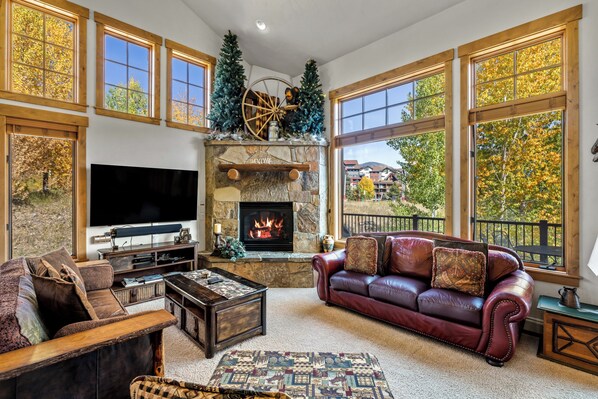 TV, fireplace, stereo