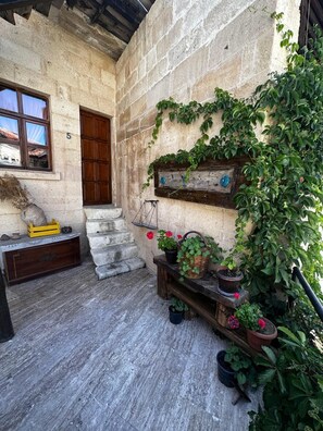 Deluxe-5 | テラス / パティオ