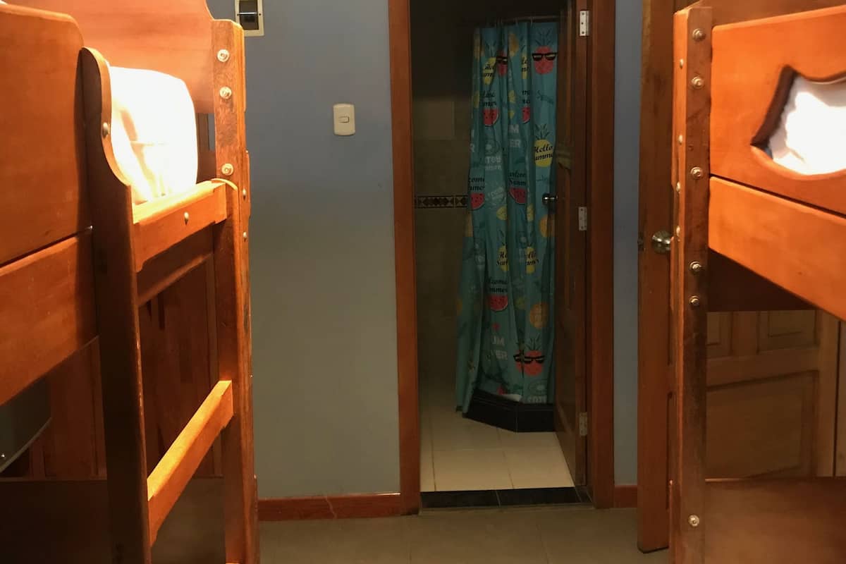 A room with bunk beds, a shower curtain with fruit patterns, and a ceiling fan.